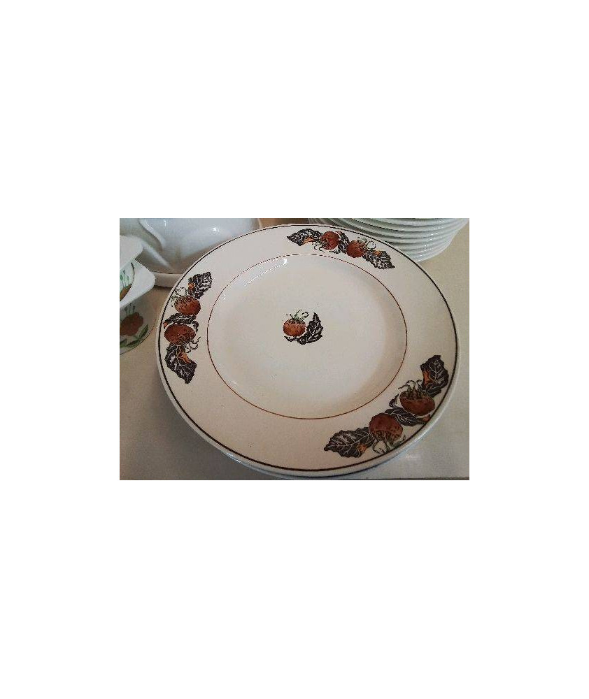 LOT DE 6 ASSIETTES NEFLES LONGCHAMP 