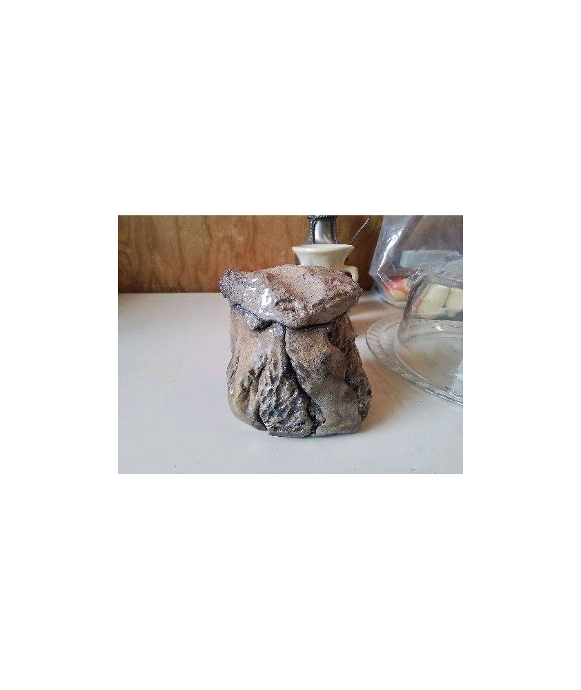 BOITE VASE 