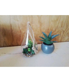 PLANTE SYNTHÉTIQUE 