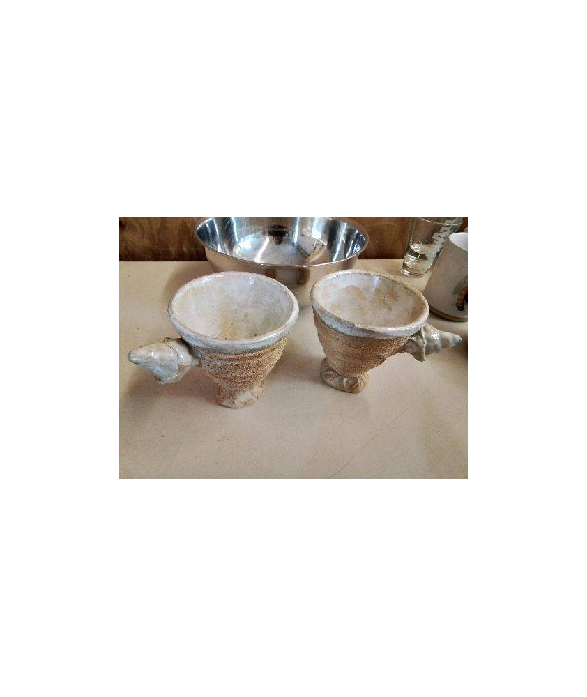 TASSE COQUILLAGE 
