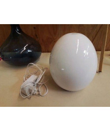 DIFFUSEUR D’HUILE ESSENTIELLES 