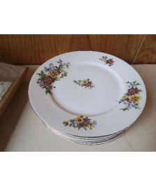 LOT DE 6 ASSIETTES EN PORCELAINE 