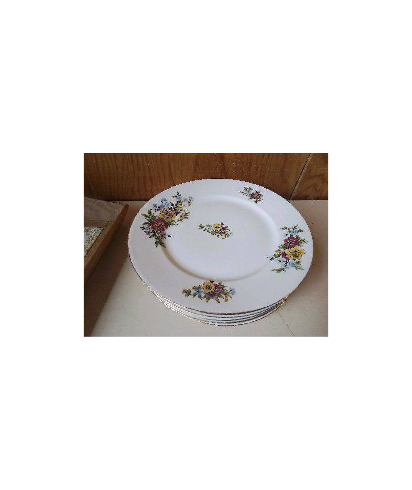 LOT DE 6 ASSIETTES EN PORCELAINE 