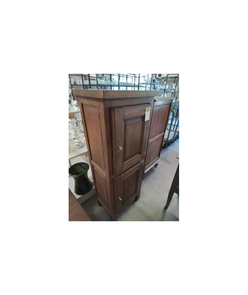 MEUBLE BOIS MOULURÉ 2 PORTES STYLE REGENCE 