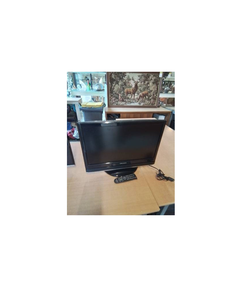 TV GRUNDIG 55CM