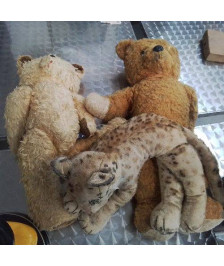 PELUCHE ANCIENNE