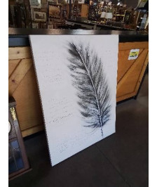 CADRE PLUME 