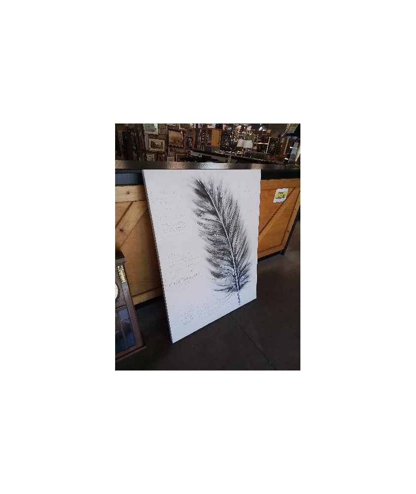 CADRE PLUME 