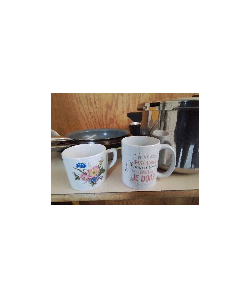 TASSE 