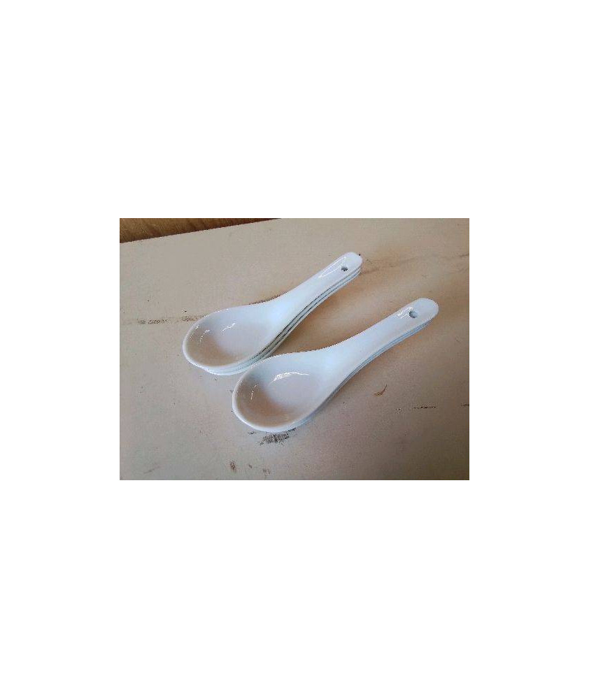 LOT DE 6 CUILLÈRES EN PORCELAINE 