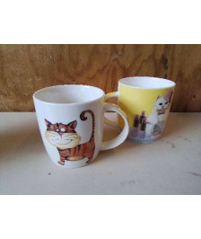 TASSE 