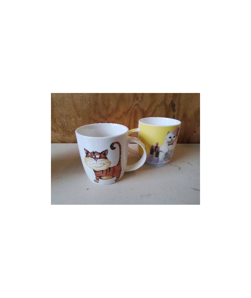 TASSE 