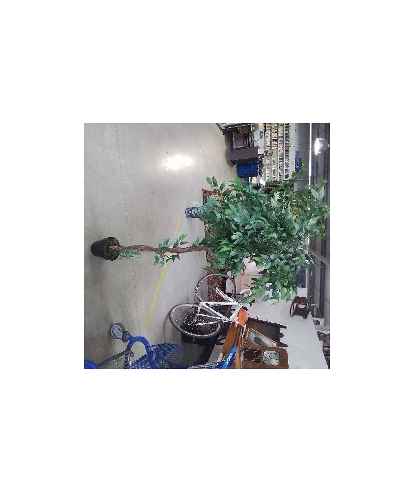 PLANTE ARTIFICIELLE MM VALEUR NEUVE 69,99 €