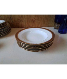 LOT DE 6 ASSIETTES CREUSES 