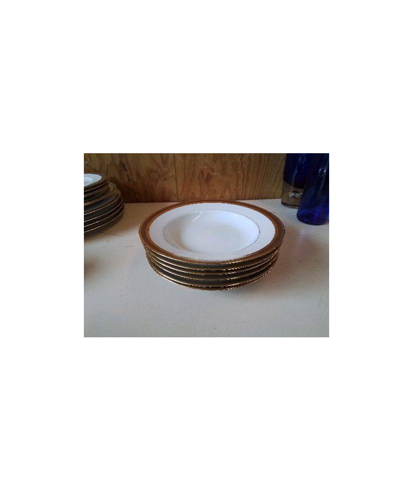 LOT DE 6 ASSIETTES CREUSES 