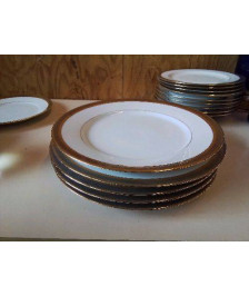 LOT DE 5 ASSIETTES PLATES 