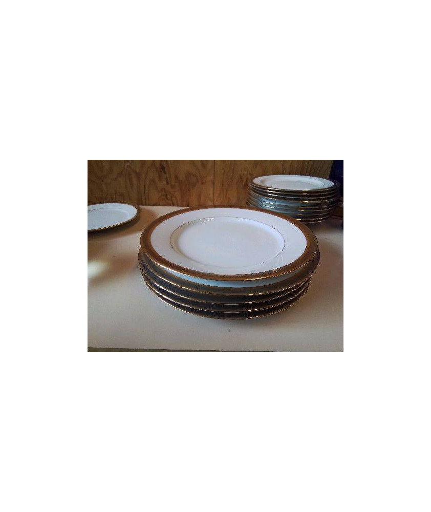LOT DE 5 ASSIETTES PLATES 