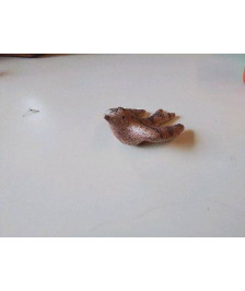 FIGURINE D’HIRONDELLE EN TERRE CUITE