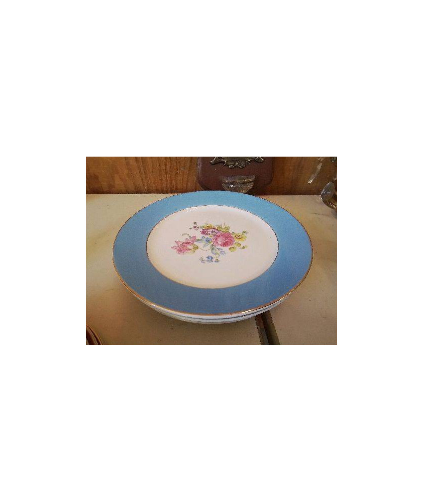 LOT DE 5 ASSIETTES PLATES EN PORCELAINE DE DIGOIN 