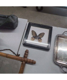 CADRE PAPILLON 