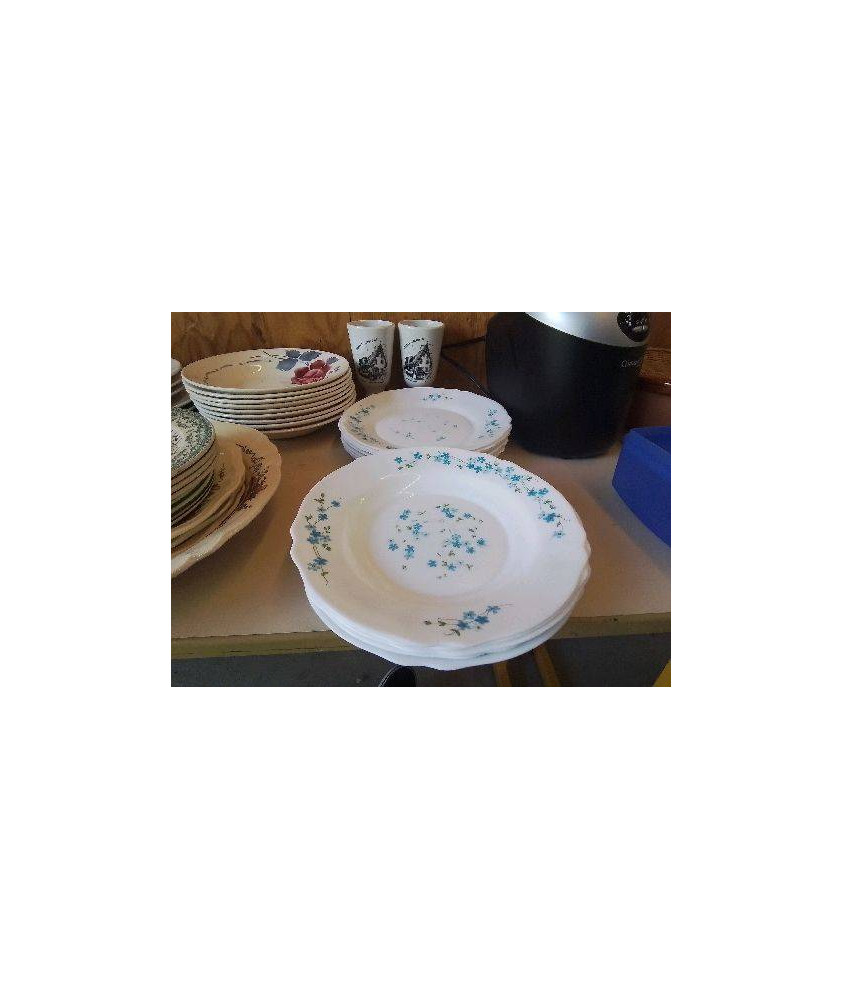 ASSIETTE ARCOPAL MOTIF FLORAL 