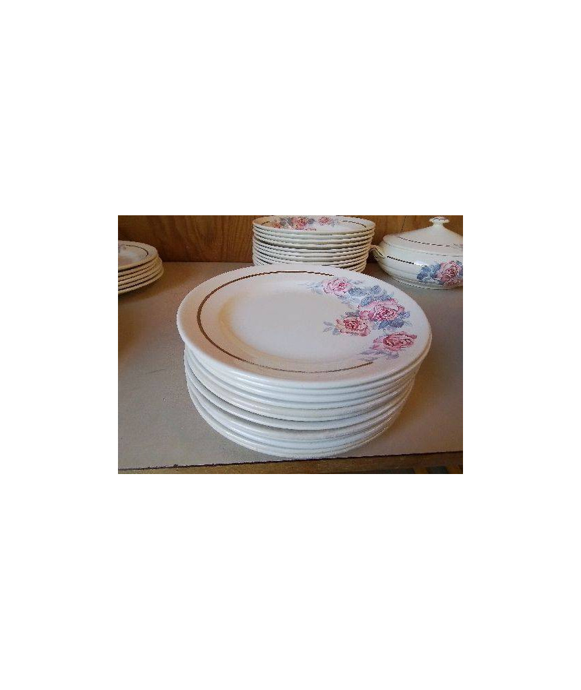 LOT DE 6 ASSIETTES À DESSERT SERGUEMINES AVEC MOTIF ROSES 