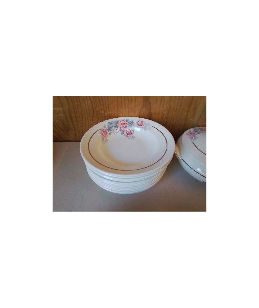 LOT DE 6 ASSIETTES CREUSES SERGUEMINES AVEC MOTIF FLORAL 