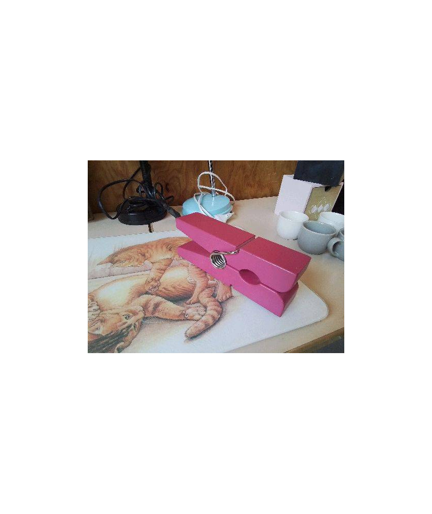 GROSSE EPINGLE PORTE MANTEAU