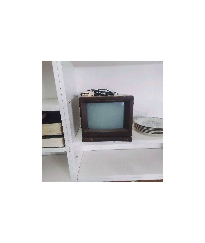 MINITEL