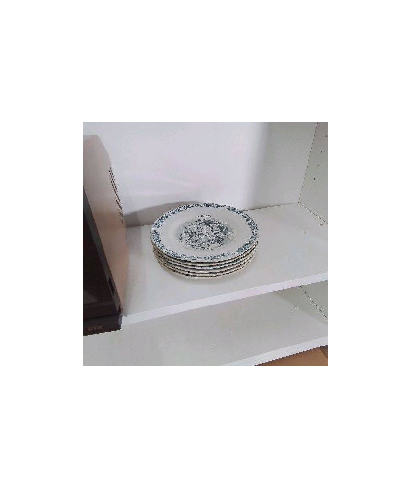 LOT 6 ASSIETTES PARLANTE 