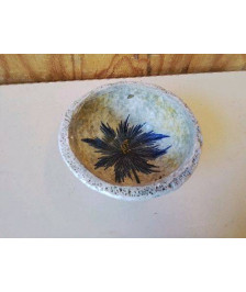 VIDE PICHE DECORS CHARDON