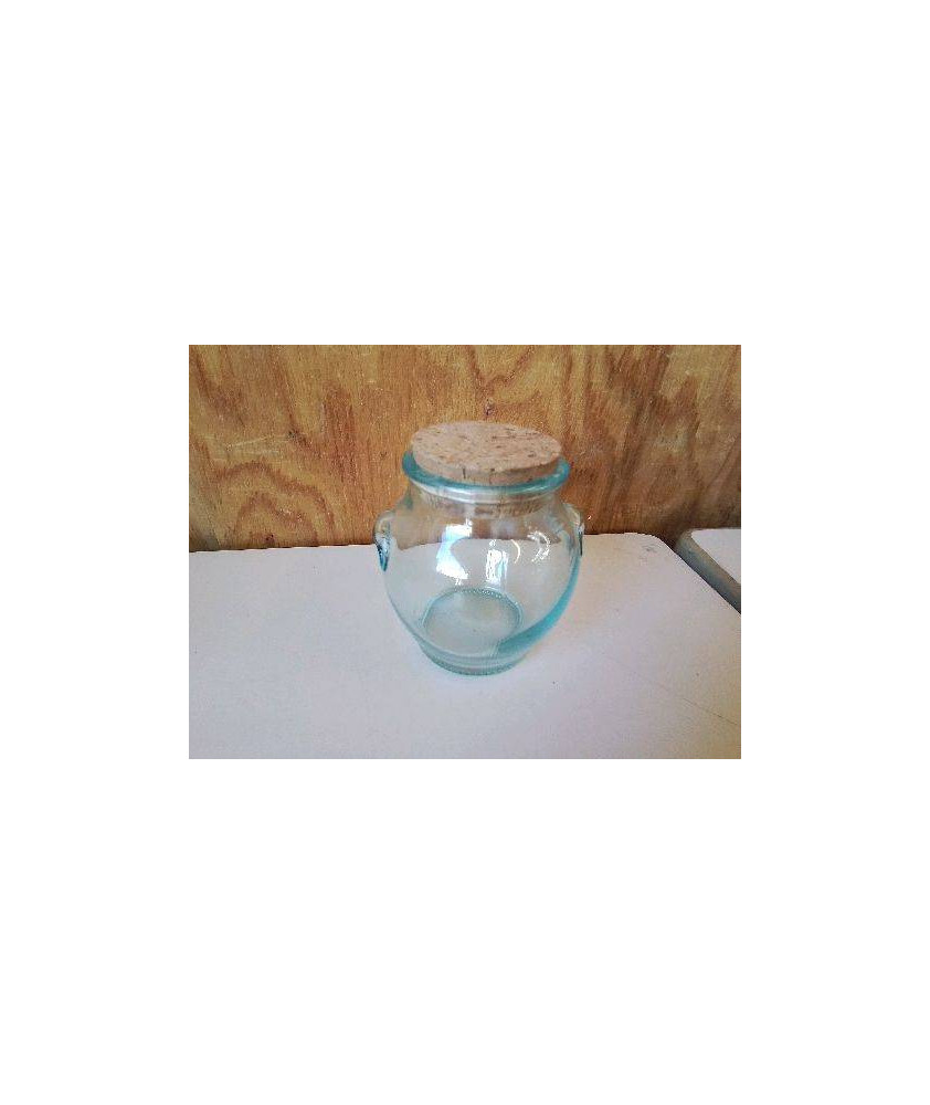 POT EN VERRE