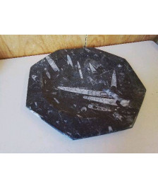 ASSIETTE EN MARBRD FOSSILISÉ 