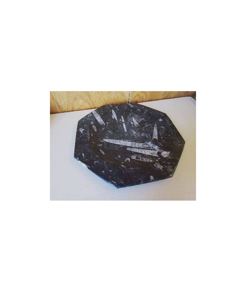 ASSIETTE EN MARBRD FOSSILISÉ 