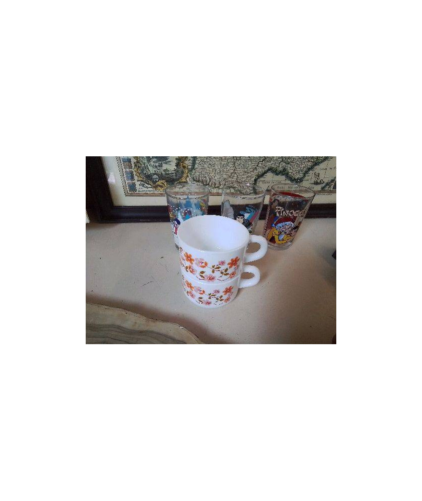 TASSE ARCOPAL 