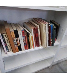 LIVRE 3