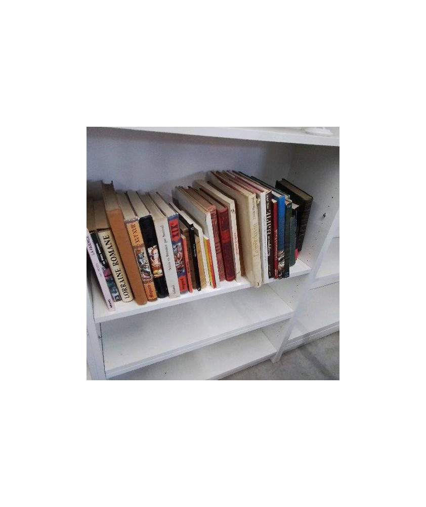 LIVRE 3