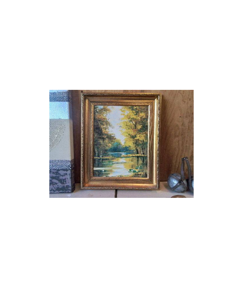 PAYSAGE BORD DE LOIRE 