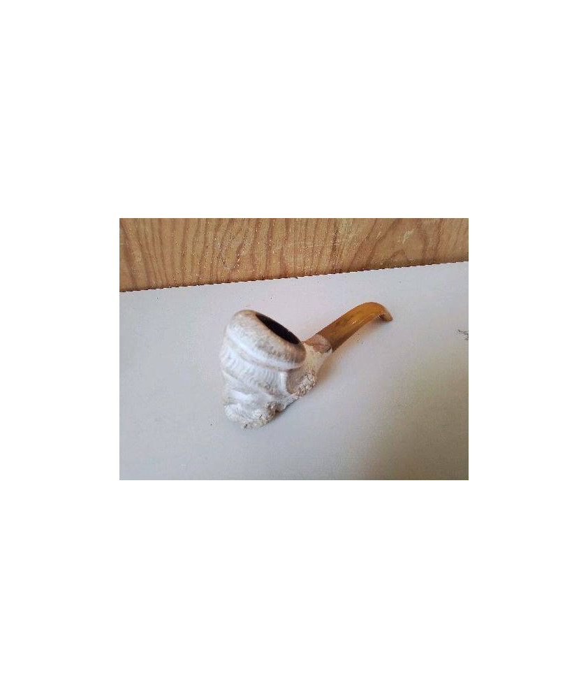 PIPE EN ECULE DE MER 