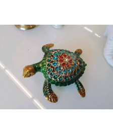 TORTUE BOITE 