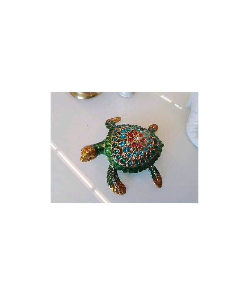 TORTUE BOITE 