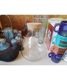 TERRARIUM EN VERRE 
