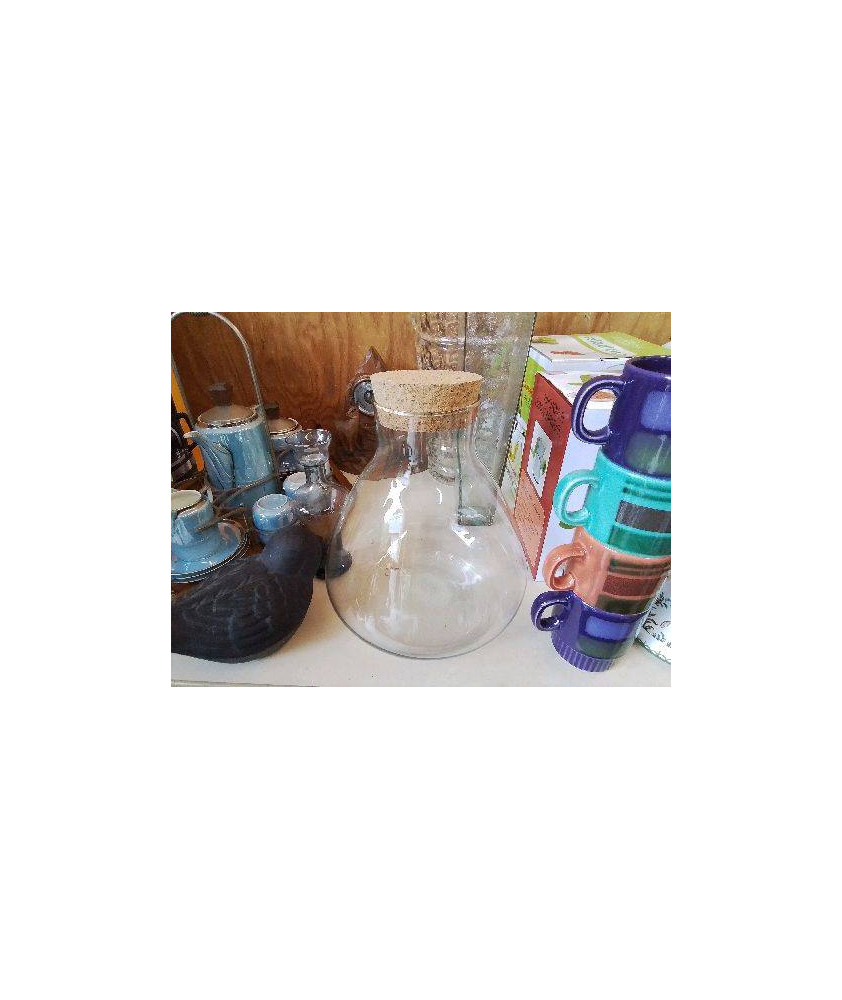 TERRARIUM EN VERRE 