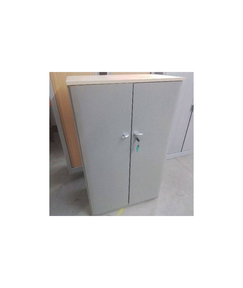 ARMOIRE DE BUREAU 2 PORTES