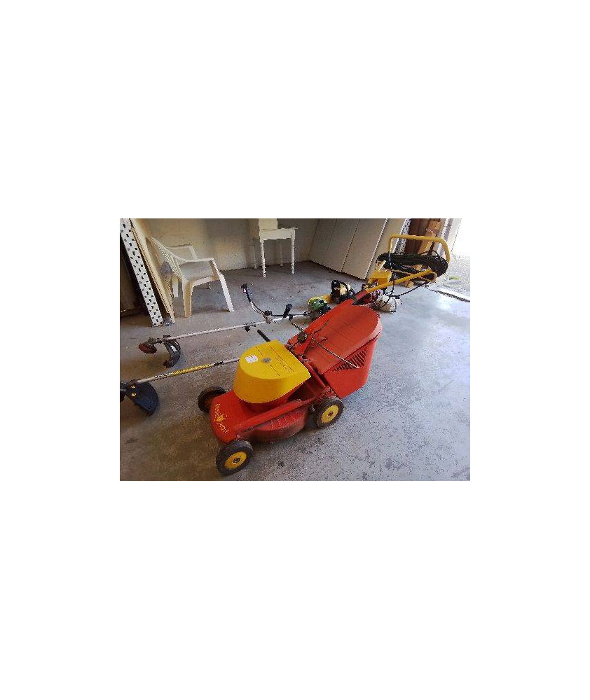 TONDEUSE ELECTRIQUE WOLF EUROTONDOR