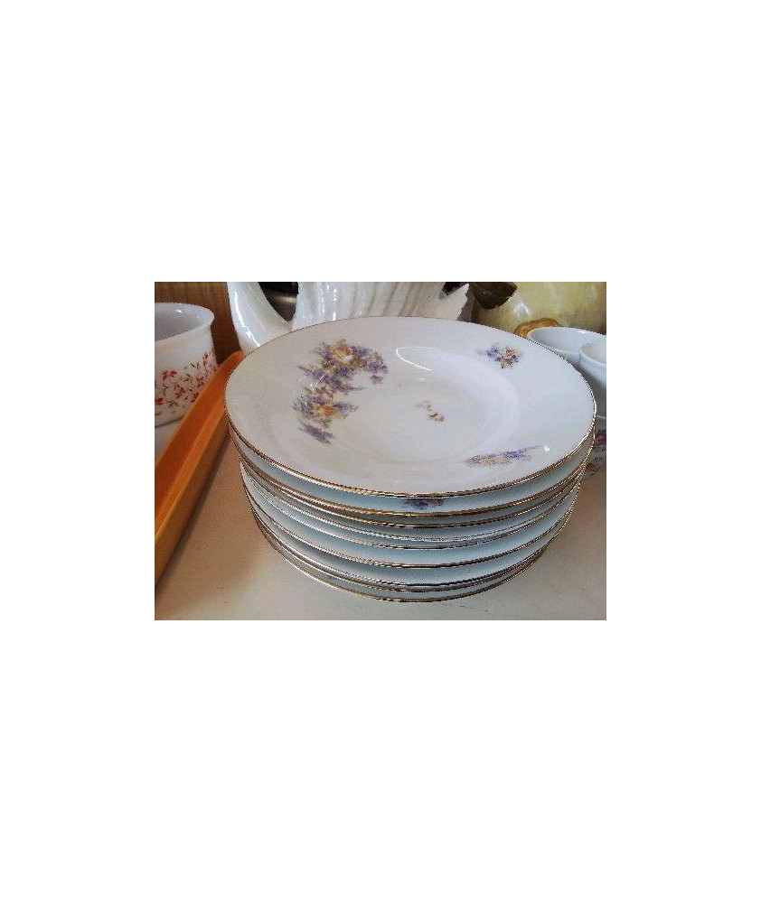 LOT DE 9 ASSIETTES EN PORCELAINE 