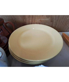 LOT DE 5 ASSIETTES JAUNES 