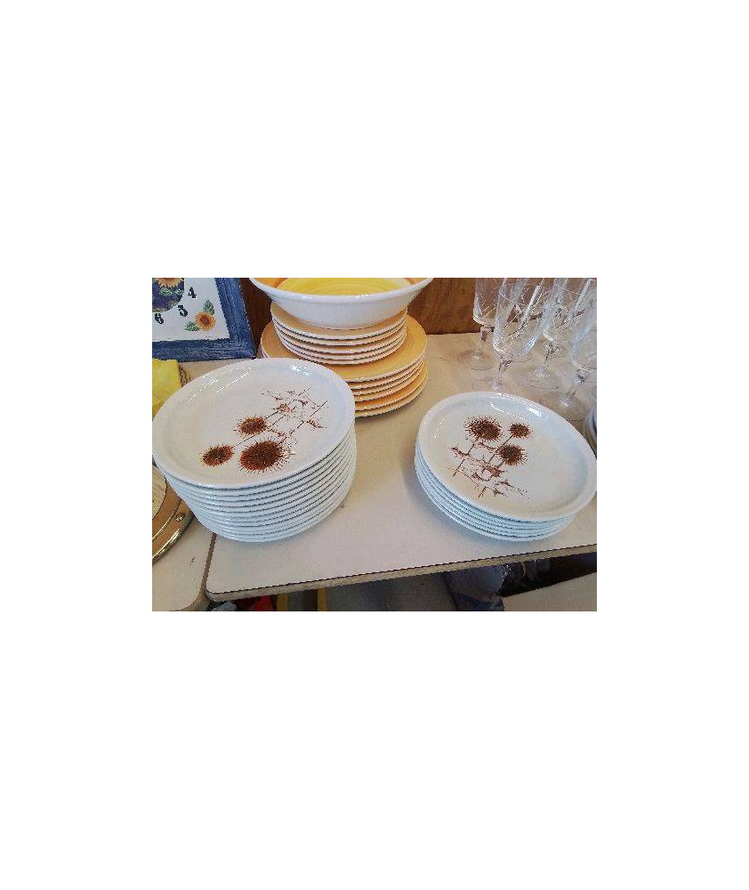 LOT DE 6 ASSIETTES À DESSERT MOTIF 