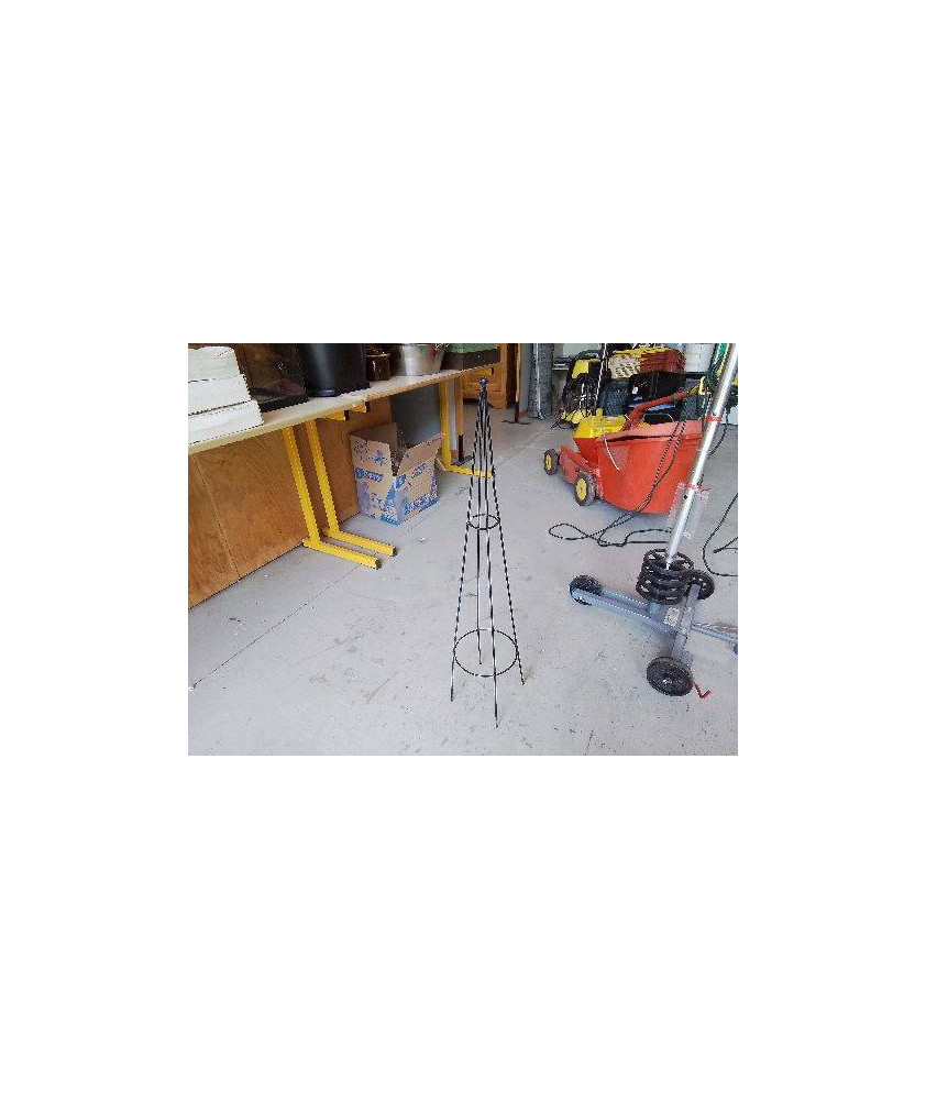 STRUCTURE PLANTE GRIMPANTE 