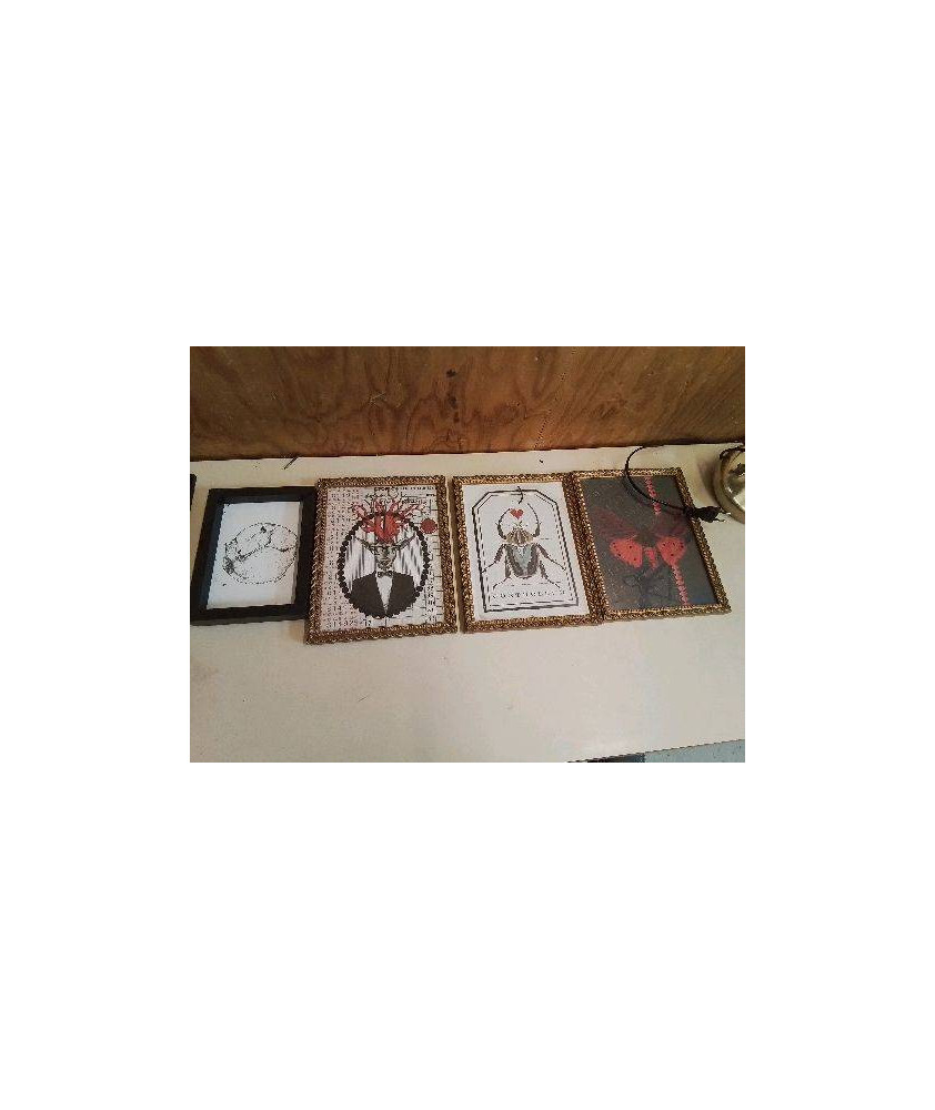 PETITS CADRES DECO ANIMAUX 